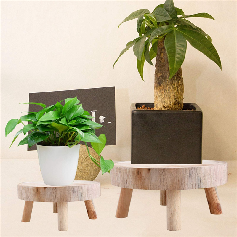 FBIL-Mini Wooden Stool Display - Up Bonsai Garden review and price