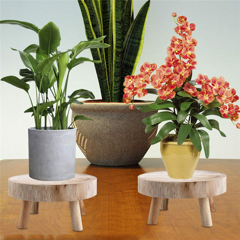 FBIL-Mini Wooden Stool Display - Up Bonsai Garden review and price