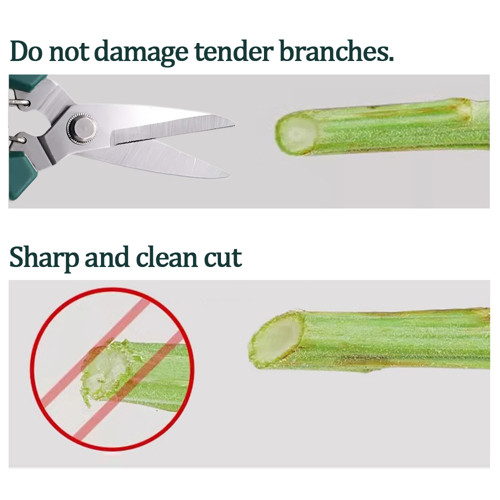 Home-use pruning tools for bon - Bonsai Garden Knife review and price