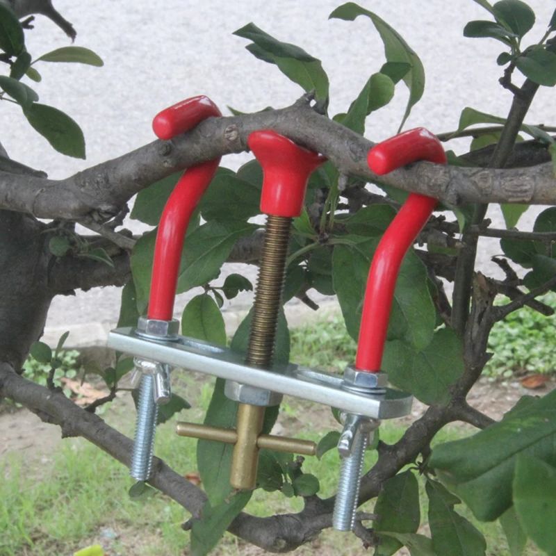Bonsai Tools The Trees Branch  - Bonsai Garden Knife review and price