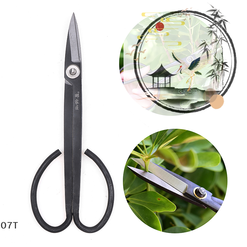 Long Handle Scissors Bonsai To - Bonsai Garden Knife review and price