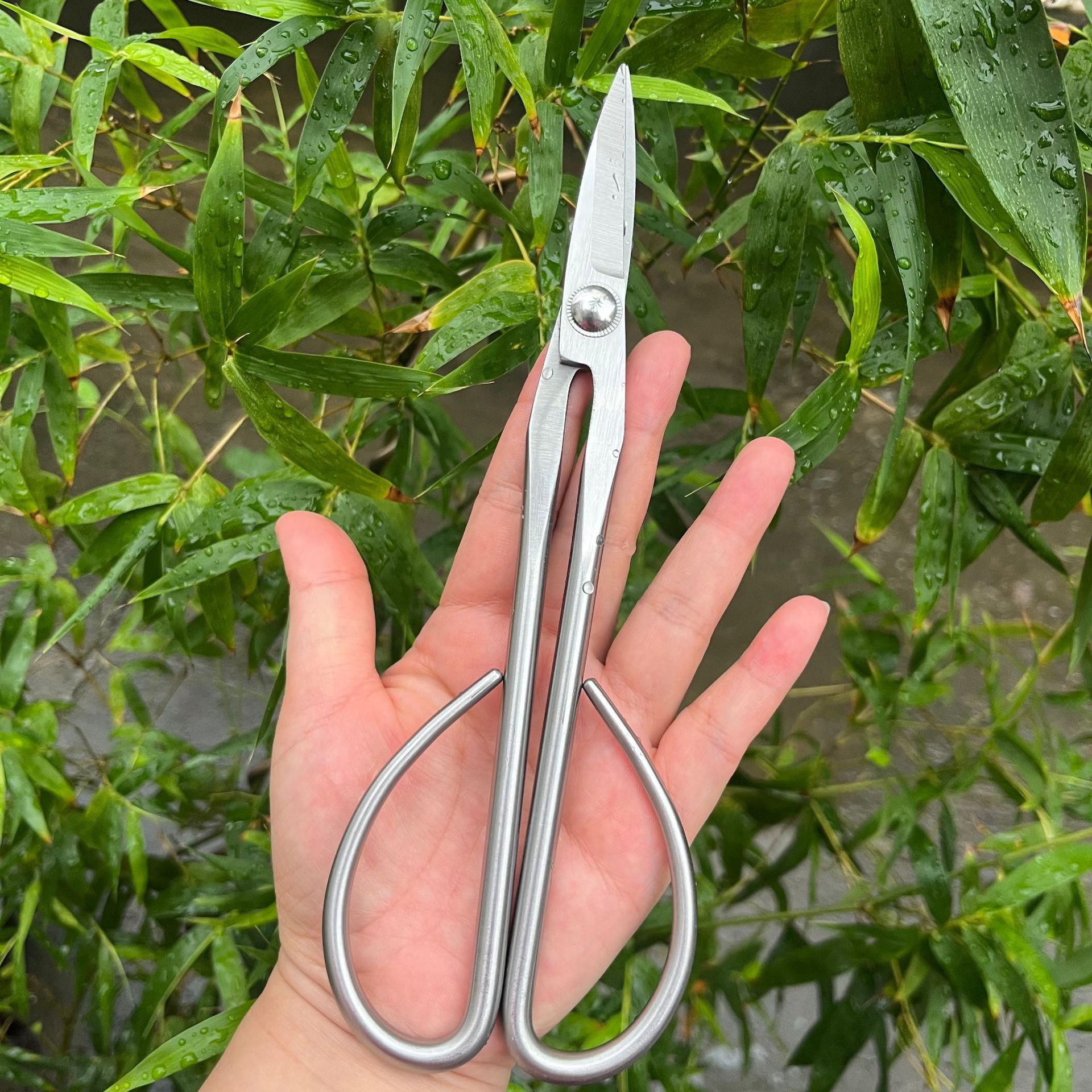 All Steel Scissors Garden Bons - Bonsai Garden Knife review and price