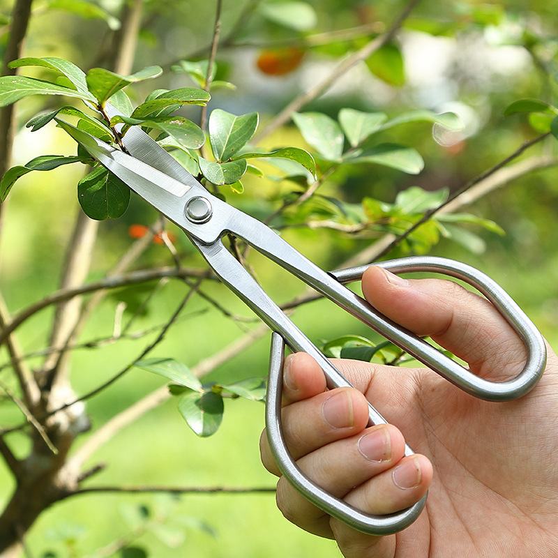 All Steel Scissors Garden Bons - Bonsai Garden Knife review and price