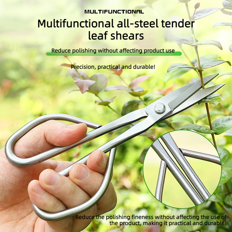 All Steel Scissors Garden Bons - Bonsai Garden Knife review and price