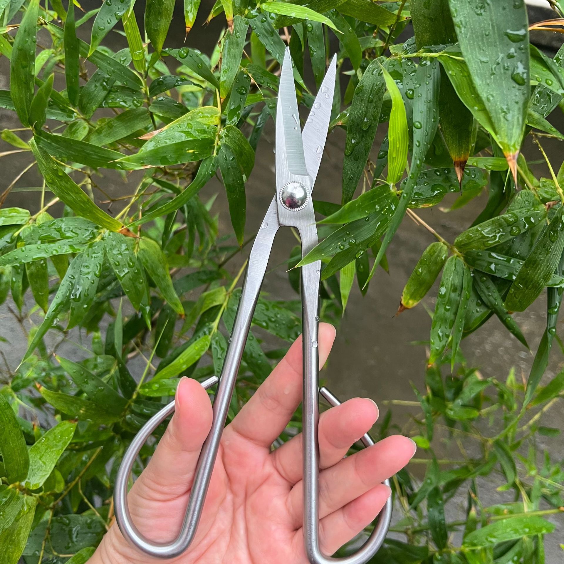 All Steel Scissors Garden Bons - Bonsai Garden Knife review and price