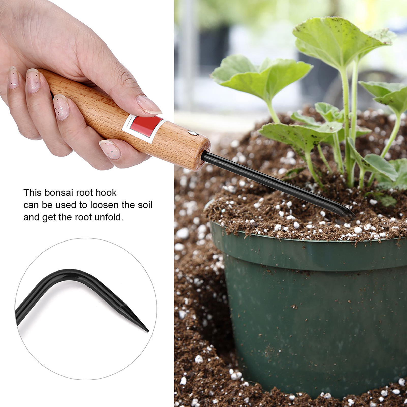 Sturdy Iron And Beech Bonsai R - Bonsai Garden Knife review and price